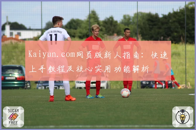 Kaiyun.com网页版新人指南：快速上手教程及核心实用功能解析