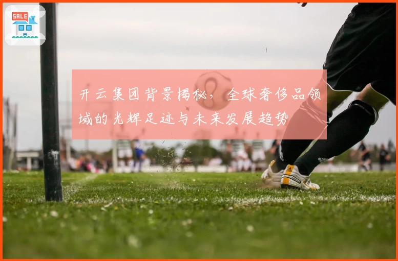 开云集团背景揭秘，全球奢侈品领域的光辉足迹与未来发展趋势