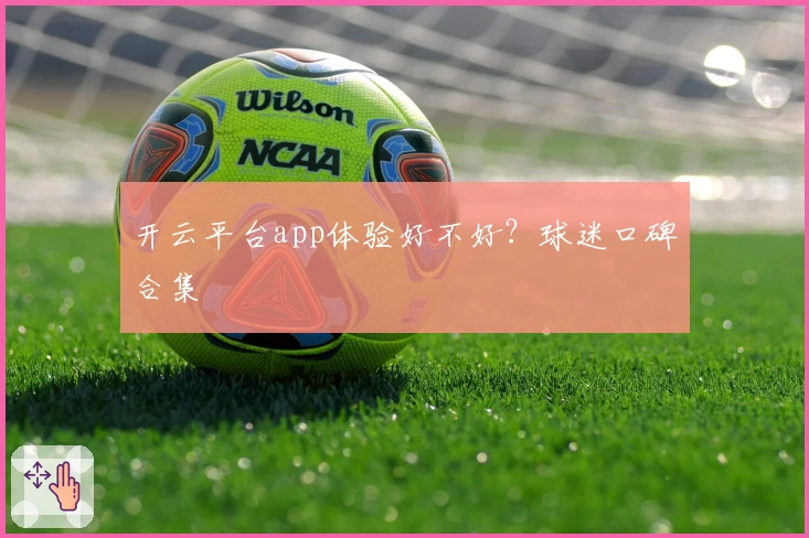 开云平台app体验好不好？球迷口碑合集